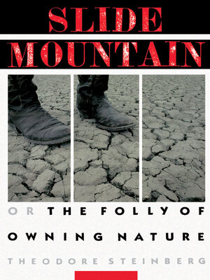 cover image of Slide Mountain